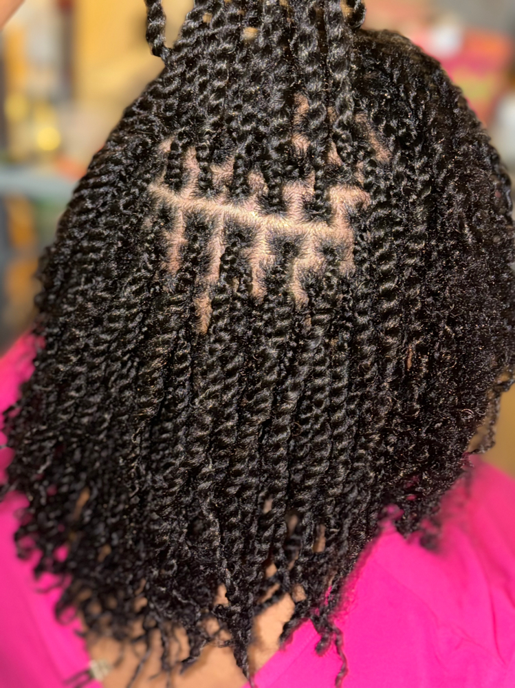 Mini Twists No Extensions