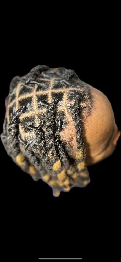 Loc Retwist