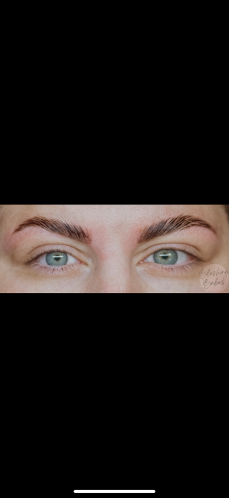 Brow Lamination + Wax + Tint