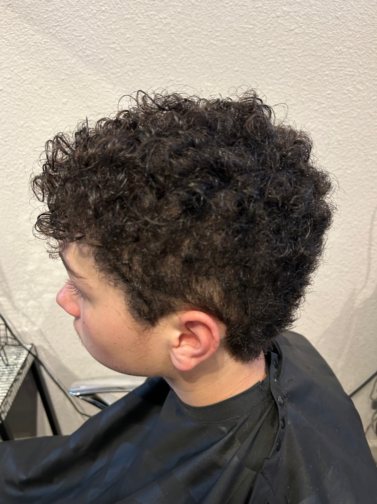 Clipper Cut / scissor over comb