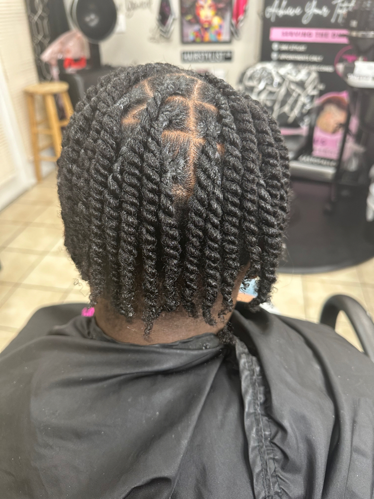 Individual 2-Strand Twist Style
