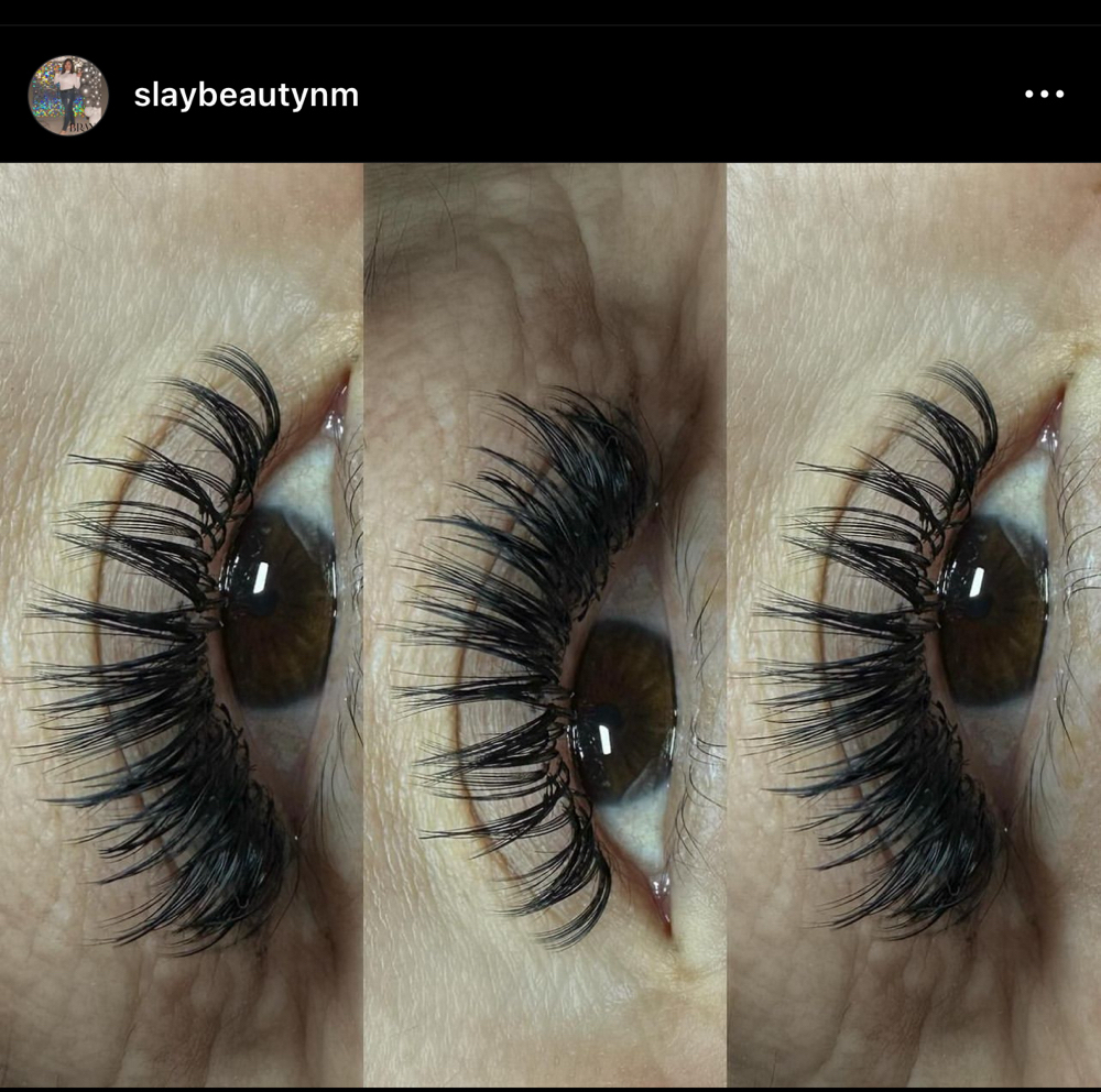 Wet Set “Angel Lashes” FILL