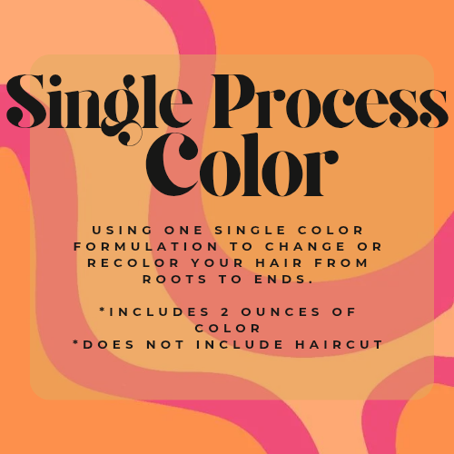 All Over Single Color at Eco Hair + Beauty in Chesterfield, MI