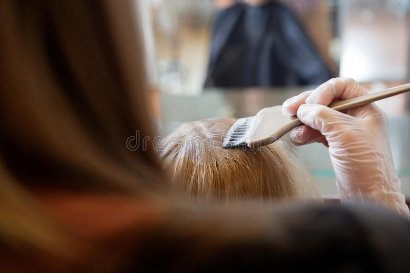 Root Touch Up