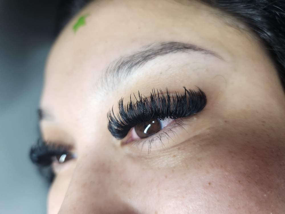 Volume/Mega Refill at LashedbyMs.G in Brighton, CO