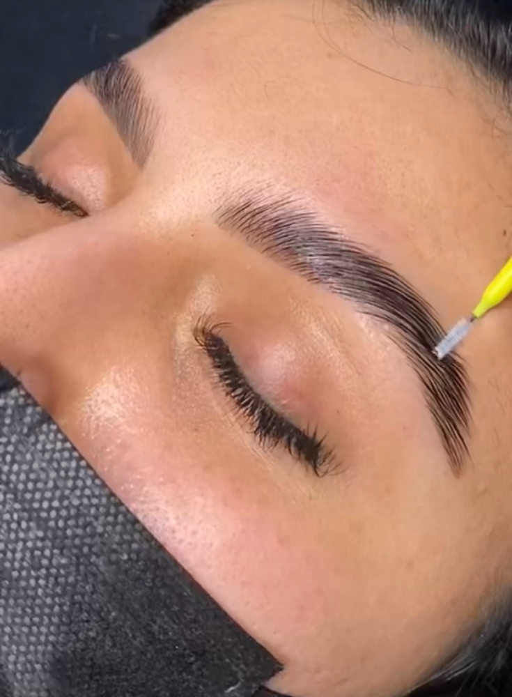 Brow Lamination & Tint Training