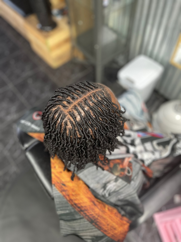 Starter Locs *price varies