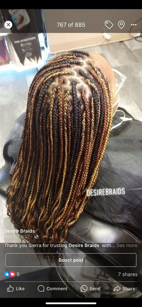 Small 24” Box Braids