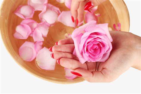 Spa Manicure at Nail Therapy Salon in Eden Prairie, MN