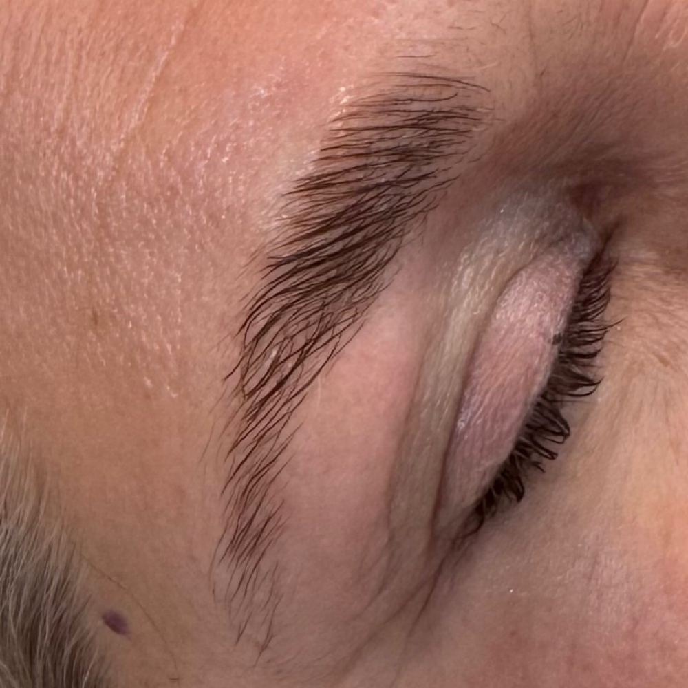 Eyebrow Lamination ONLY at Salon Muse & Co in Wautoma, WI