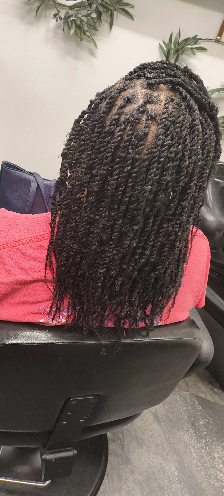 Mini Twists (w/extensions) at Curvygirlbeauty in Lee's Summit, MO