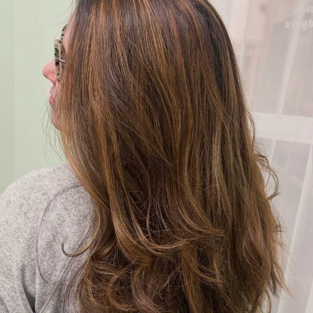 Partial Balayage With Toner at The Glam Edge in Chesapeake, VA