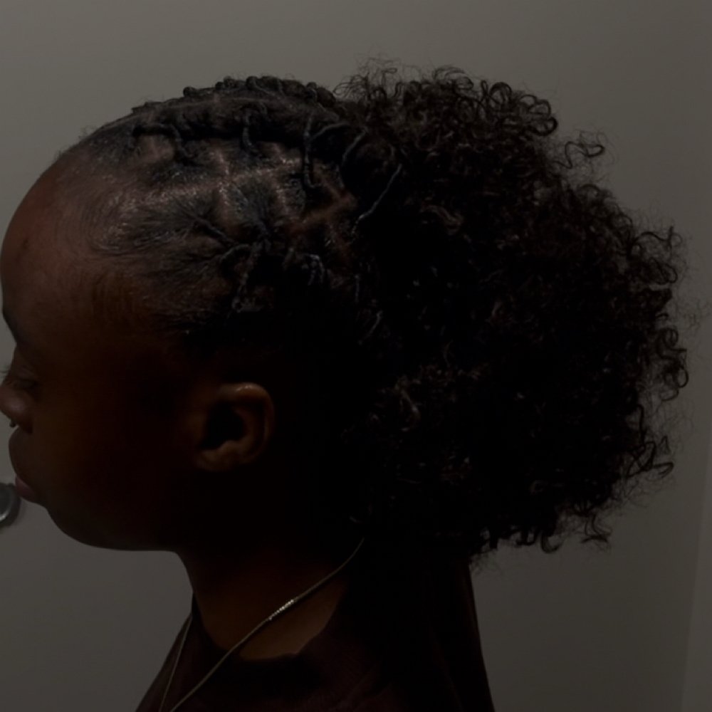 Loc Retwist • Style at ApplesTouchh in Laurel, MD