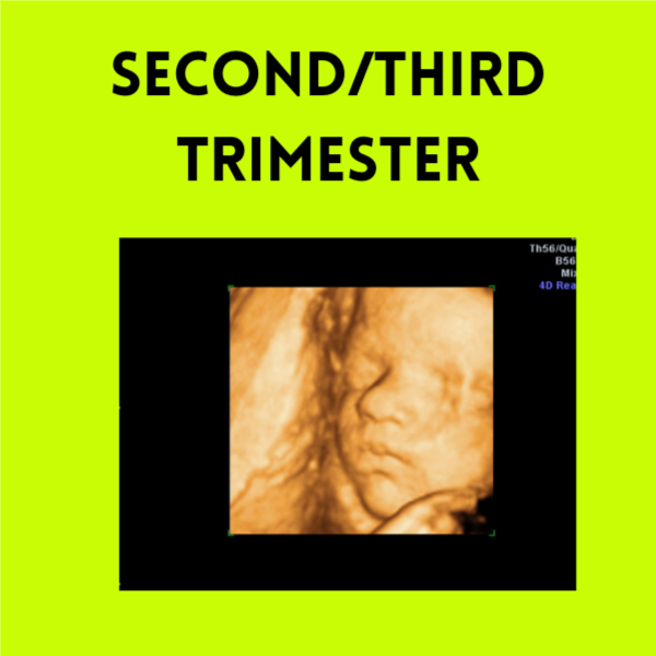 2nd / 3rd Trimester at Hello Sweet Baby Studios Shreveport in Shreveport, LA