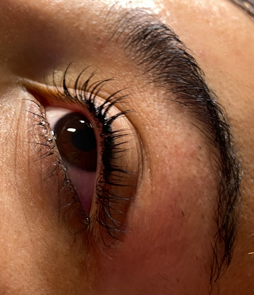 Lash Tint (only)