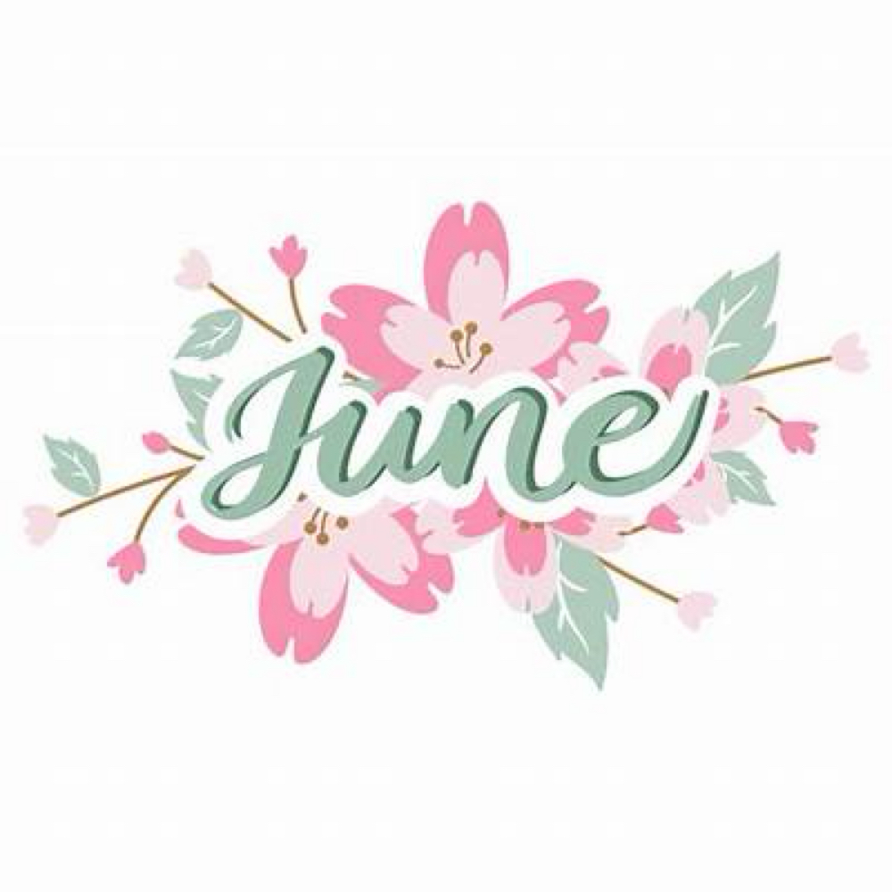 June Special: Clear & Bright Facial at Danelle French Aesthetics in Indianapolis, IN