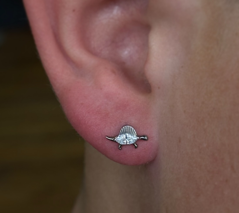 Single Ear Lobe