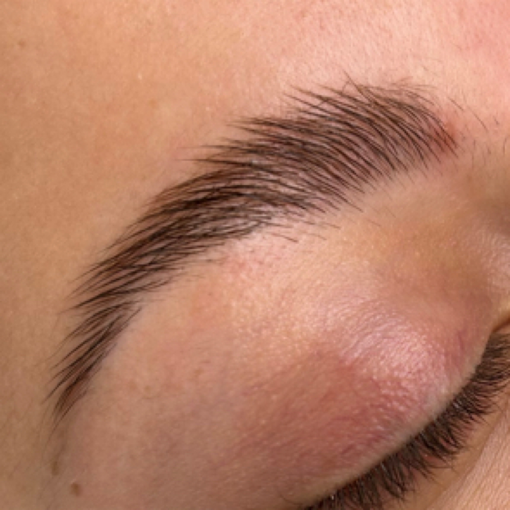 Brow Tint at Beauty, Bliss and Wellness LLC in Rainsville, AL
