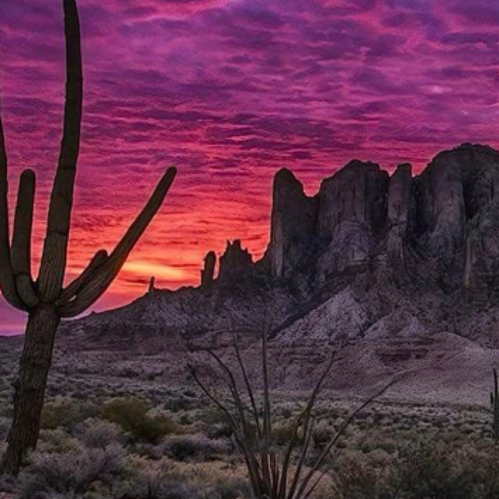 Desert Darlings Facial at Sonoran Skin Studio in Tucson, AZ