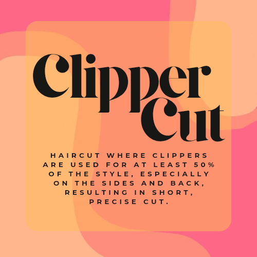 Clipper Cut at Eco Hair + Beauty in Chesterfield, MI
