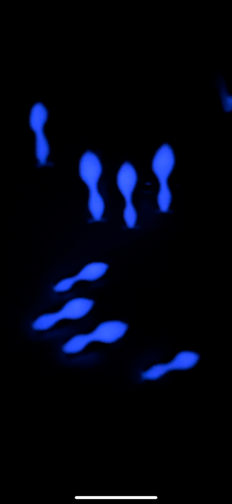 Glow In The Dark at TheSlimTippin in Charlotte, NC