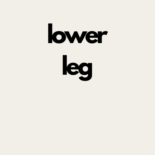 Lower Leg