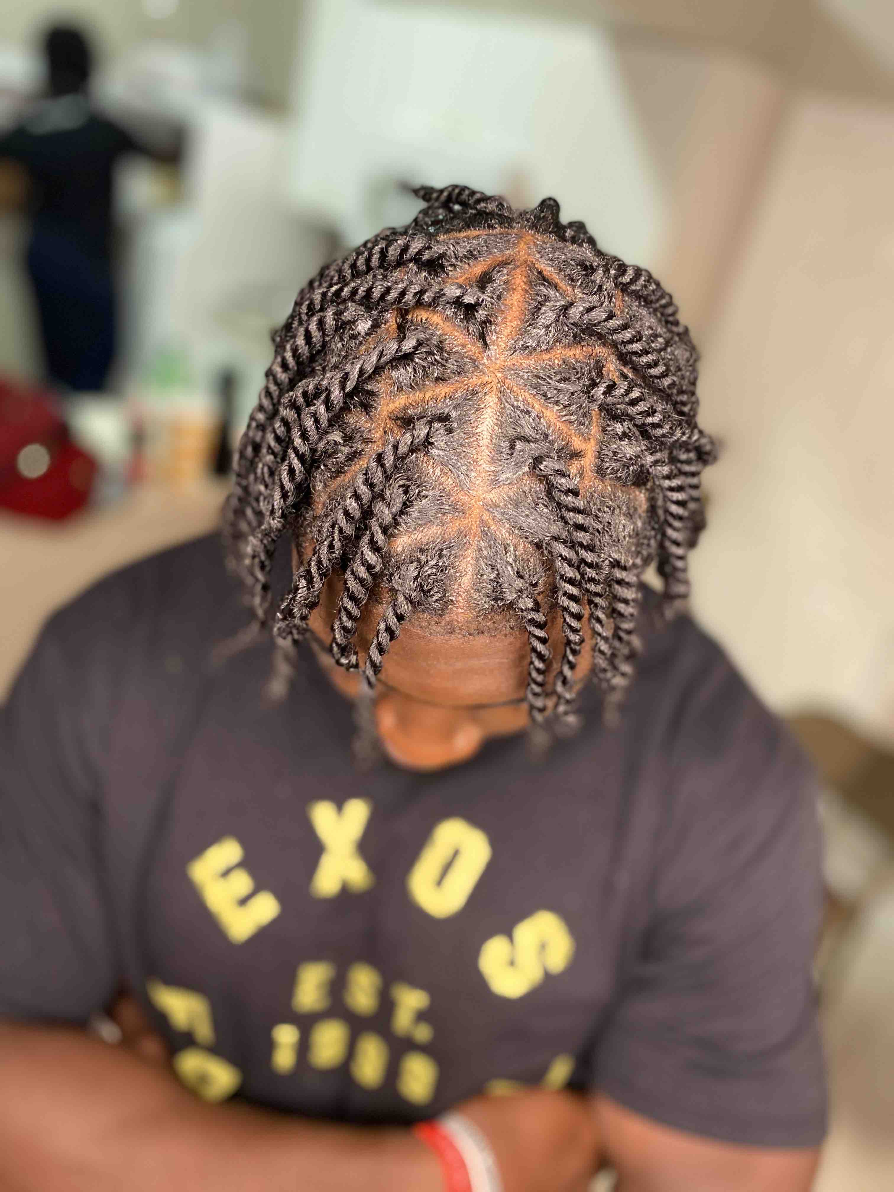 Two Strand Twist High Top