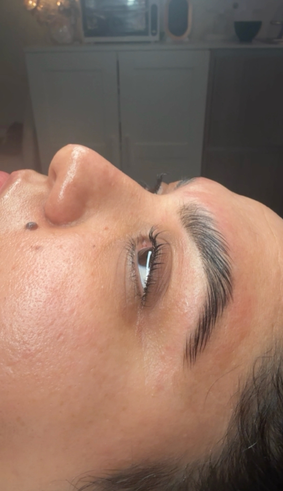 Eyebrow Lamination & Wax