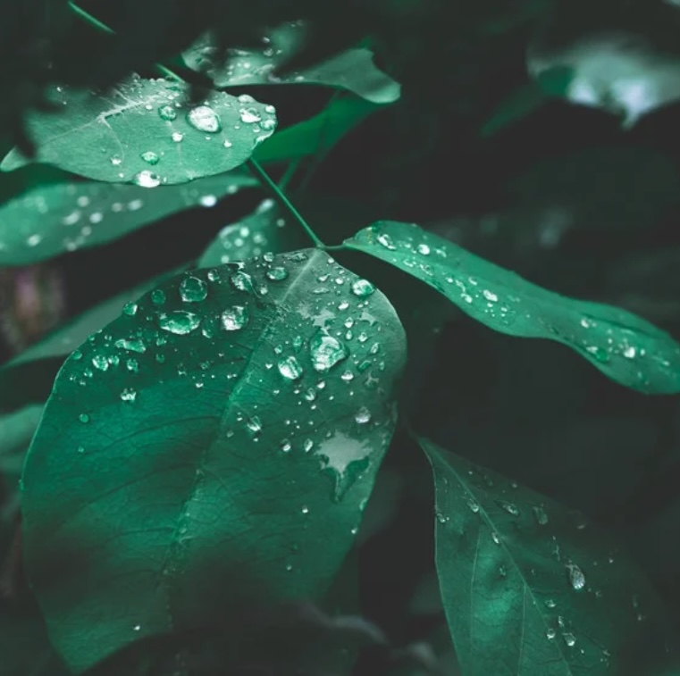 Soft Collapse