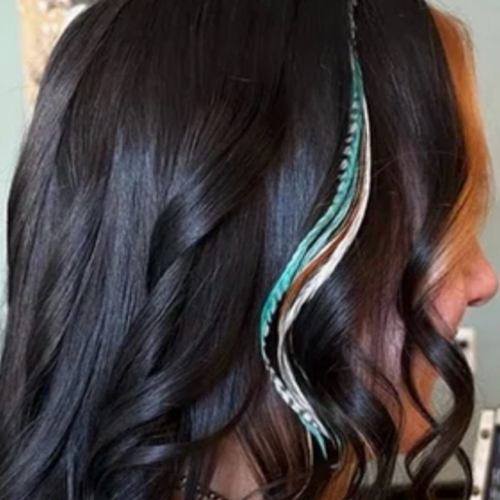 Feather Extensions at Top Knot Salon in Chattanooga, TN