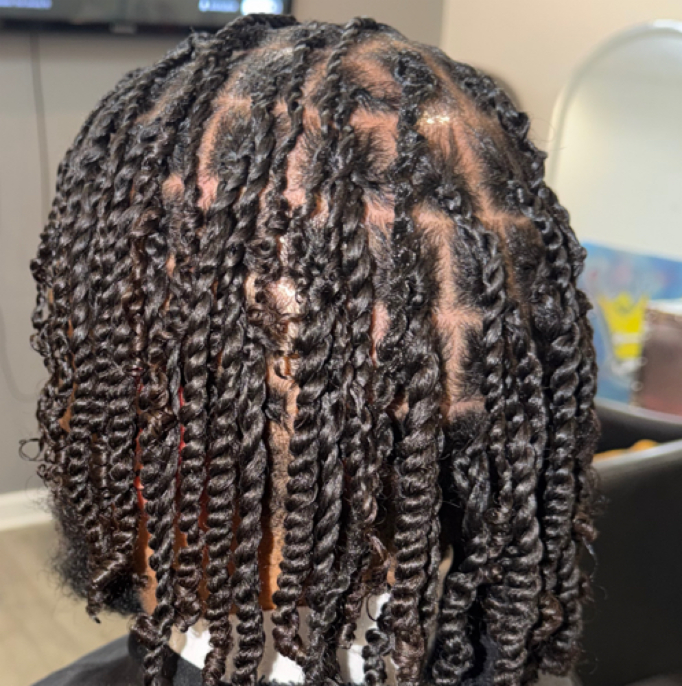Braided Roots Two Strand Twist at ir3nz0_locs in Atlanta, GA