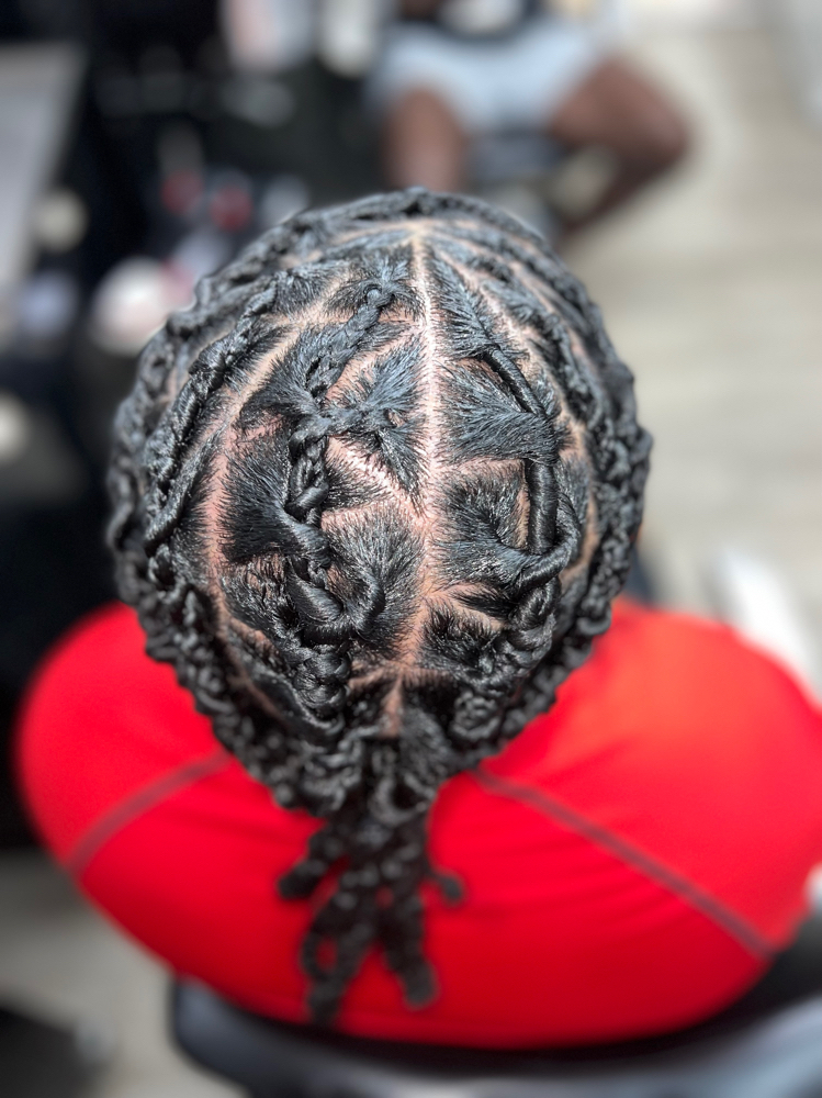 Braided Roots Two Strand Twist