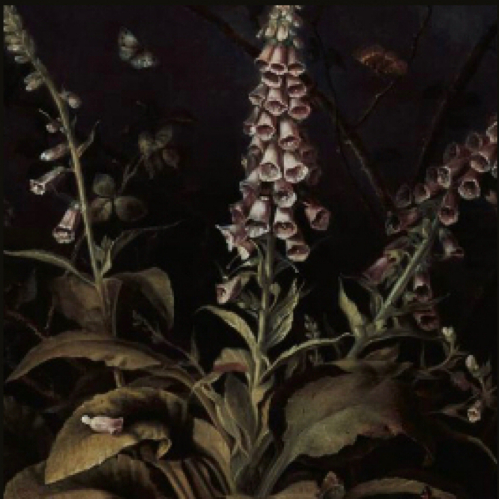 Wedding Hair Services at Foxglove Salon in Vernon, NJ