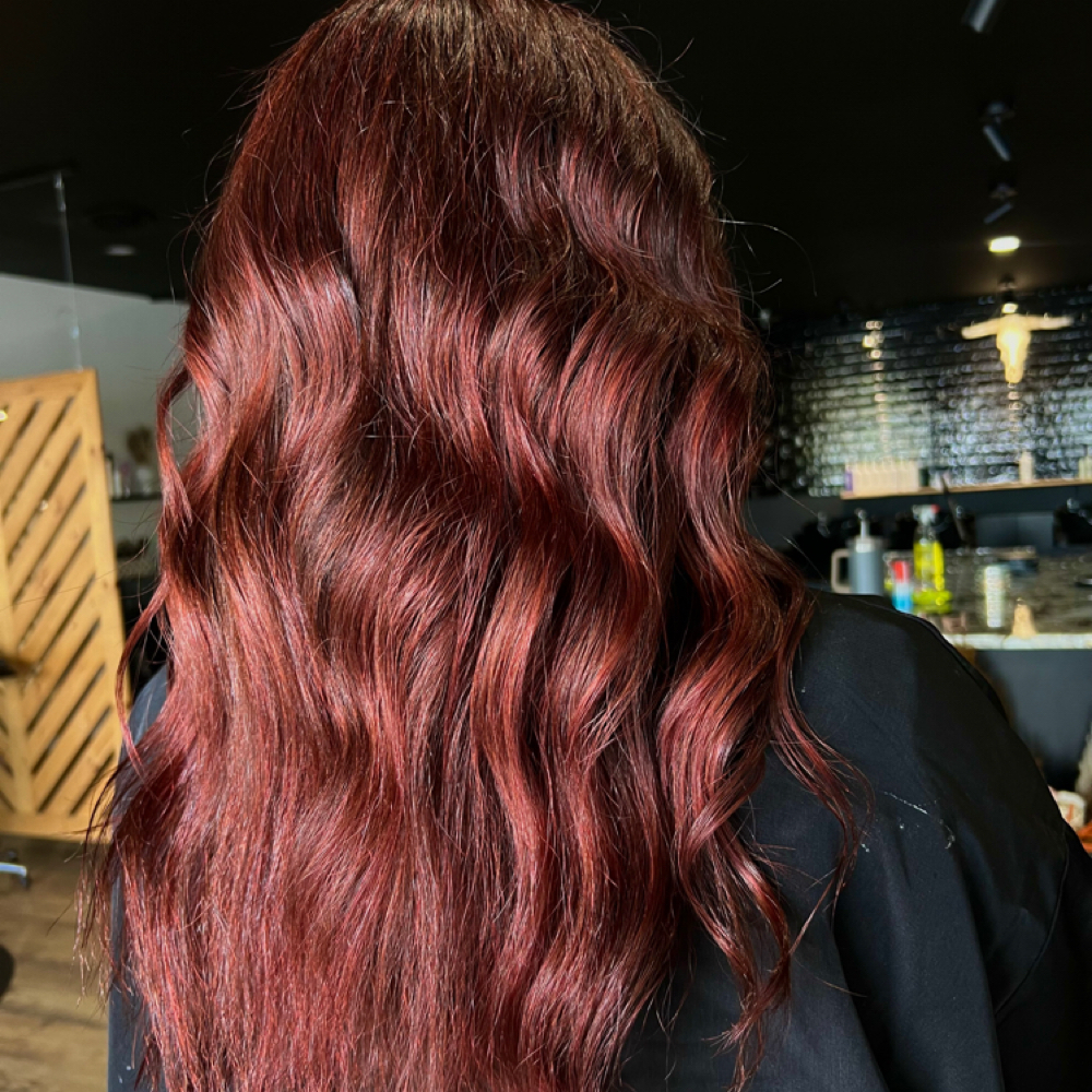 All Over Color + haircut (Sabrina) at Midwest Salon in Beavercreek, OH