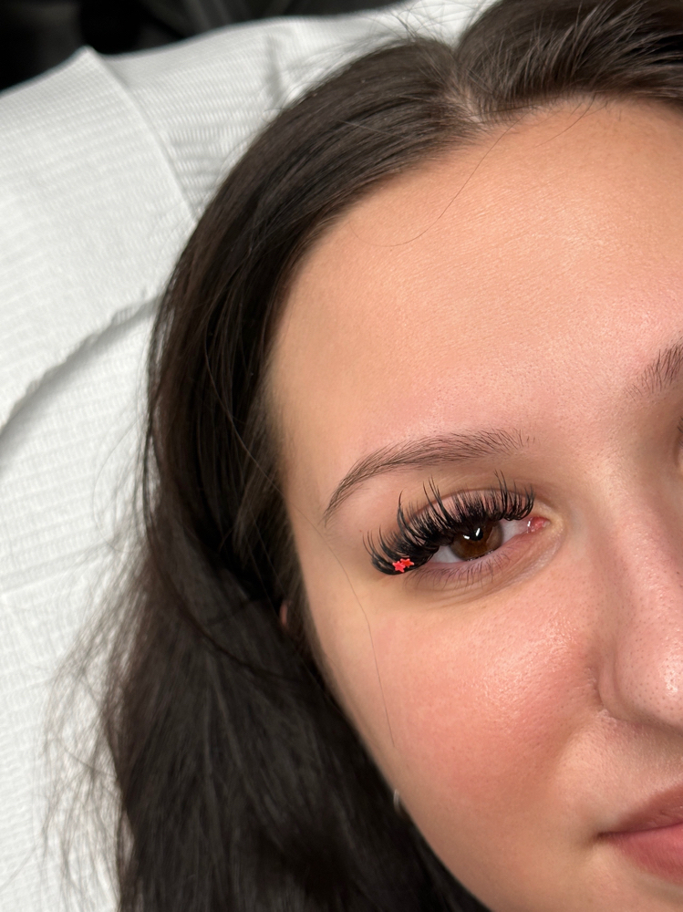 lash decal