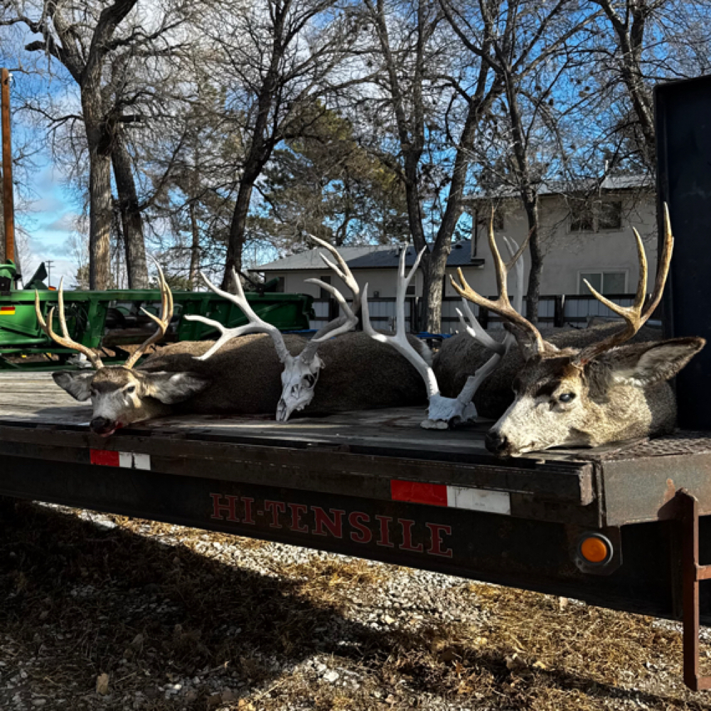 December Muzzle Loader Mule Deer at Open Sky Outfitters in Scottsbluff, NE