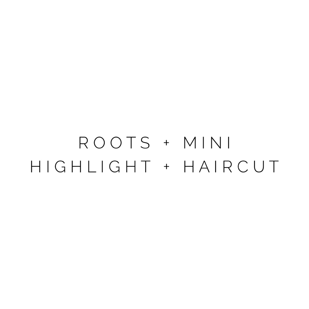 Roots & Mini Highlight + Haircut