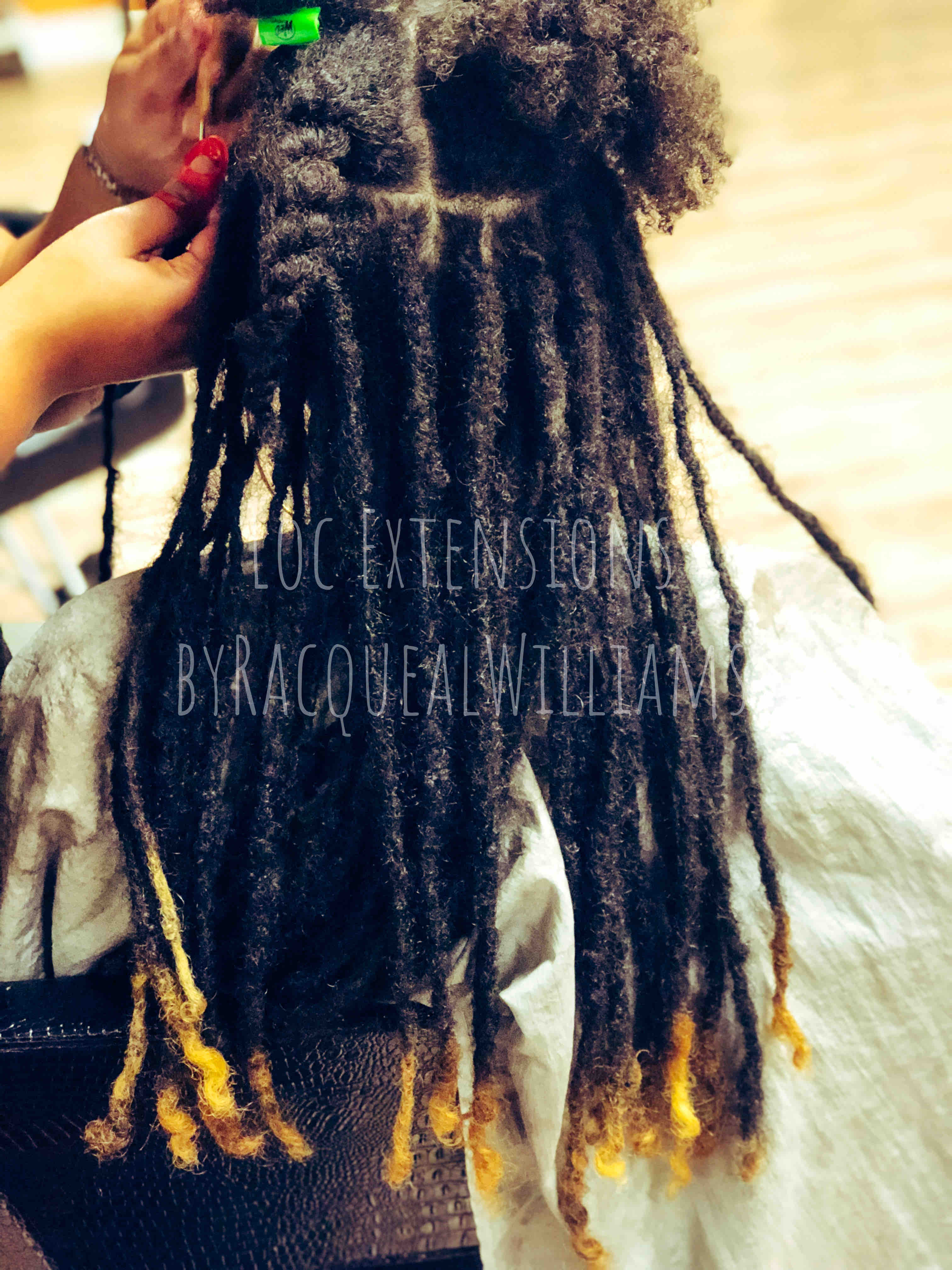 Insta Locs/Extensions