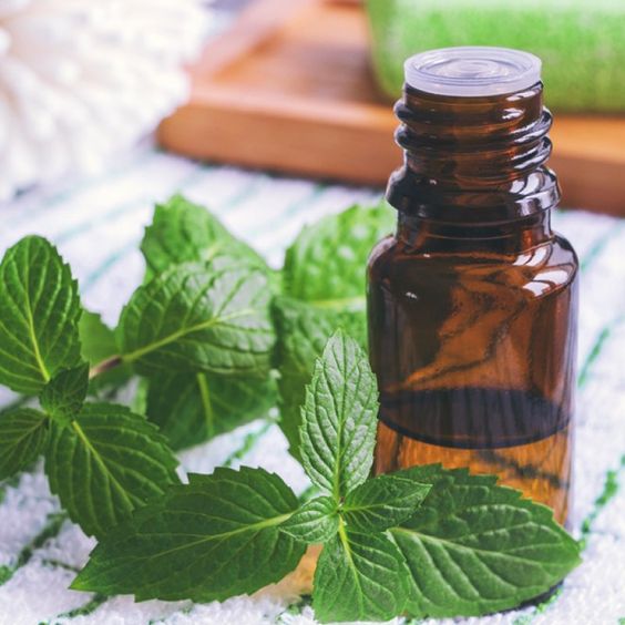 Add On Peppermint Scalp Massage