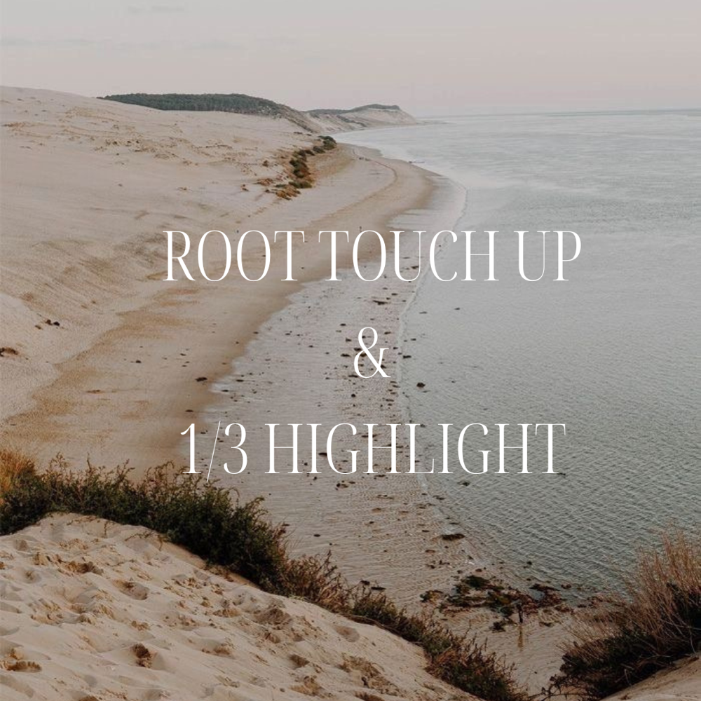 Root Touch Up & 1/3 Highlight