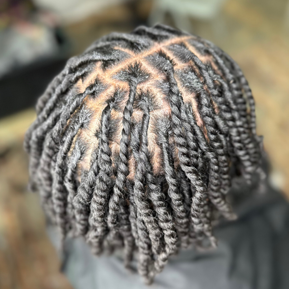 Starter Locs at Natural Halo LLC in Greensboro, NC