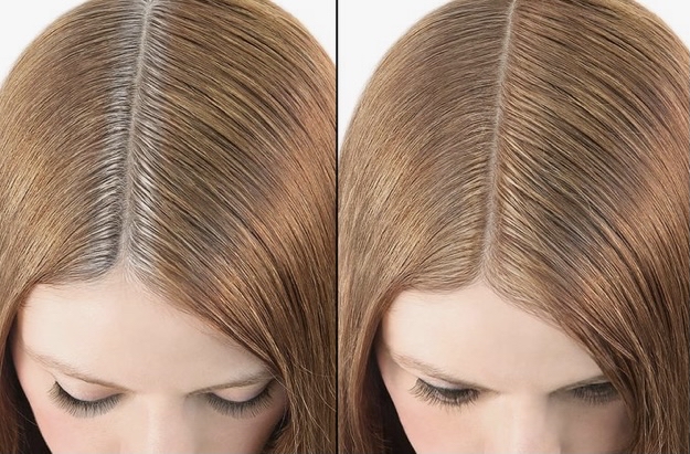 Single Color Root Touch Up Only