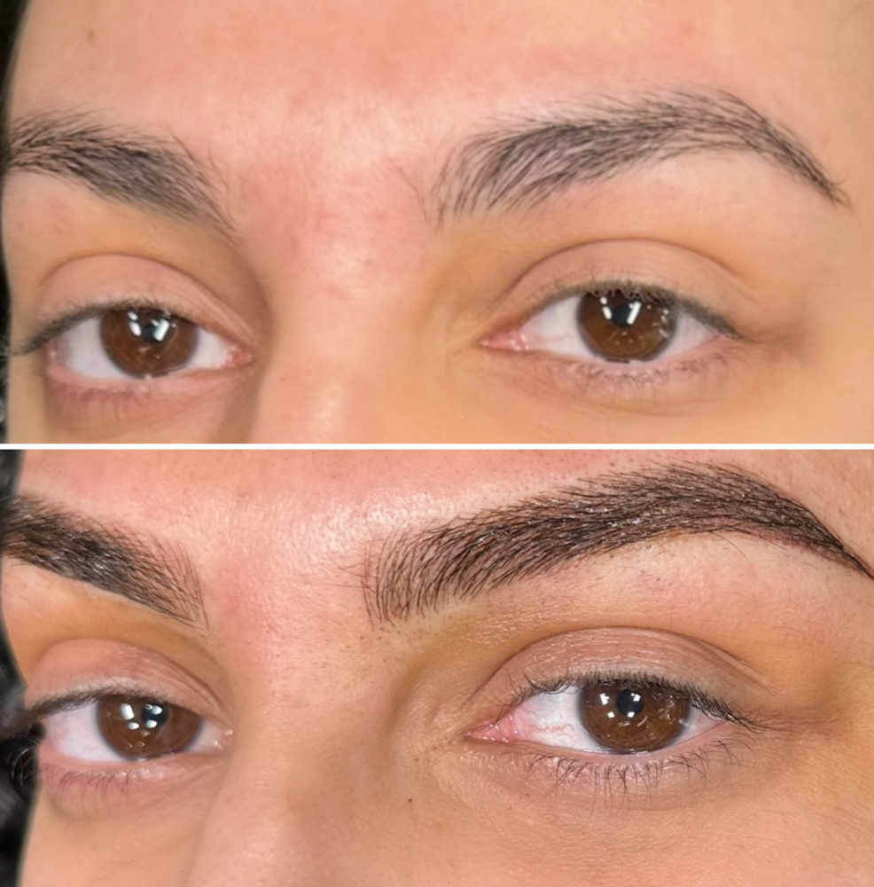 Microblading + Shading