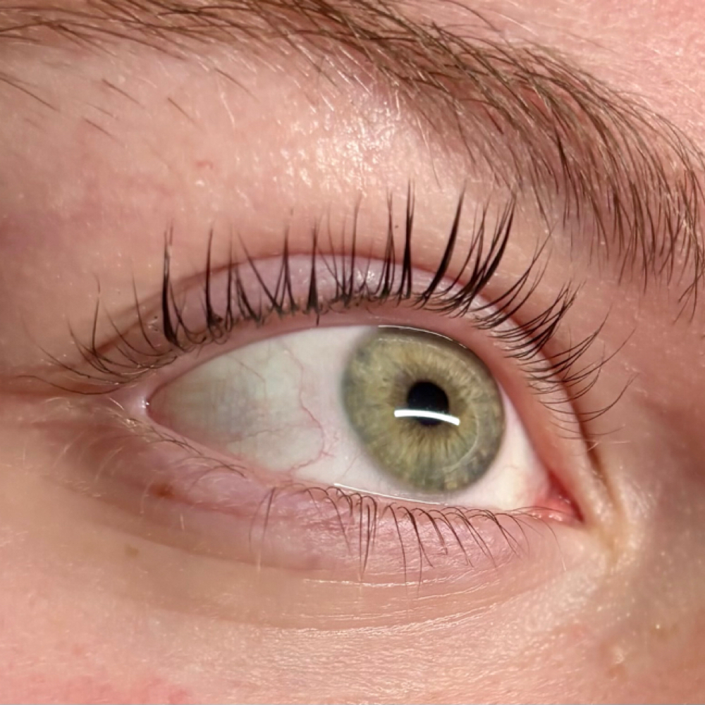 Eyelash Lift & Tint at Gaze in Racine, WI