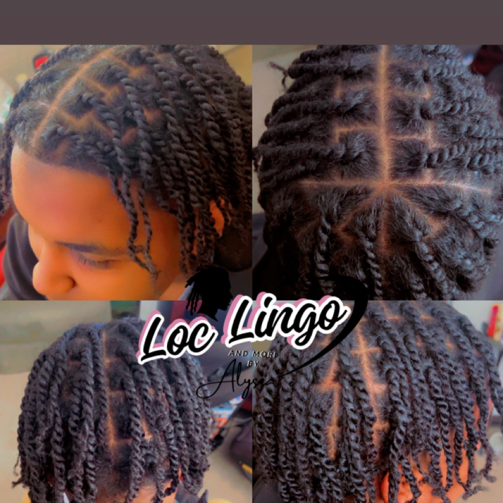 Natural 2 Strands(not For Locs) at Loc Lingo And More by Alyssa in Bridgeton, MO