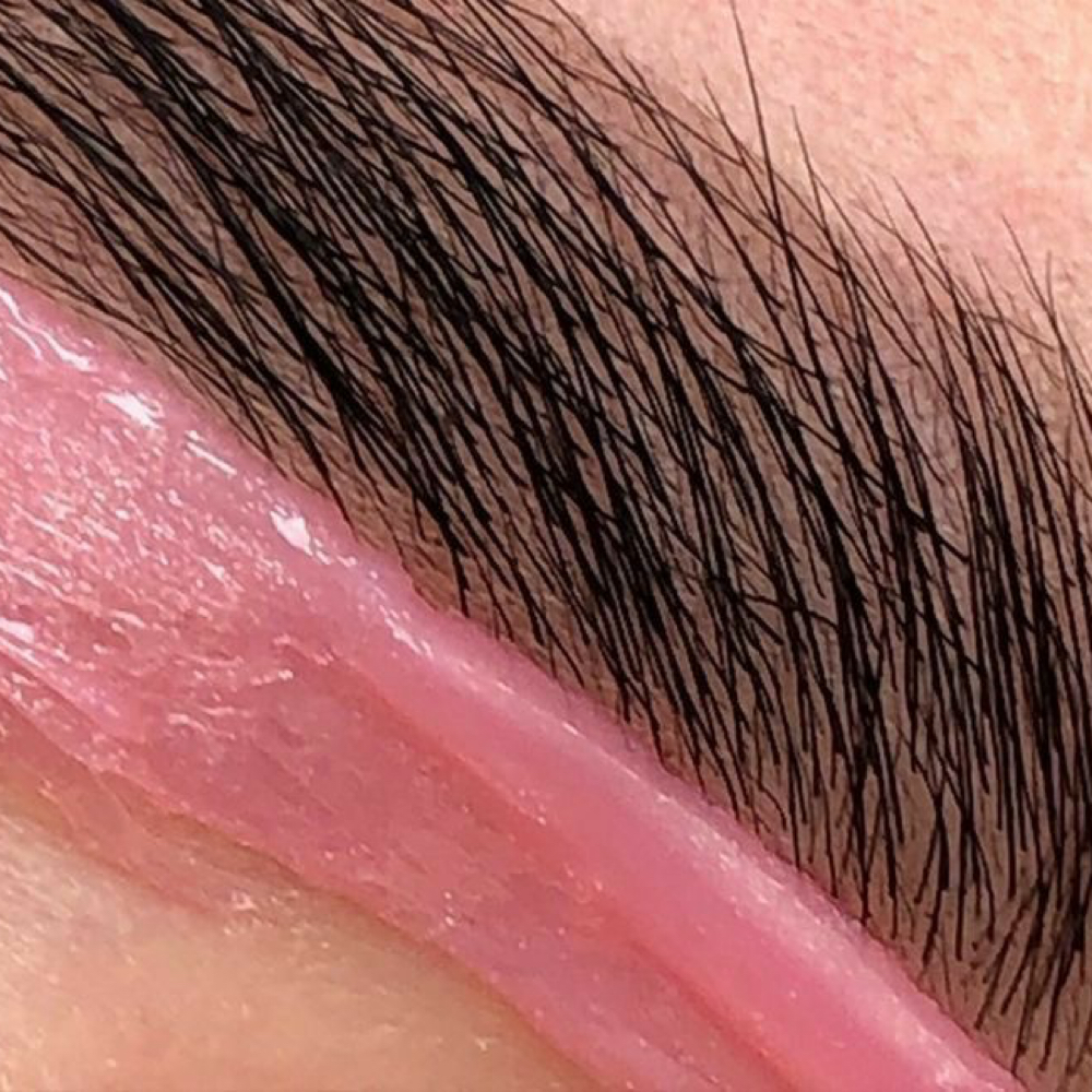 Women’s Brows at THEWAXDEN in Melbourne, FL