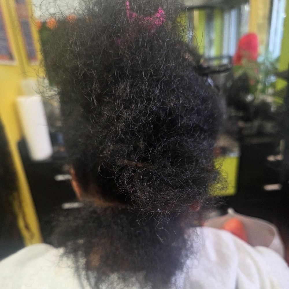 Shampoo Blow dry at D&M Hairstudio in Brooklyn, NY