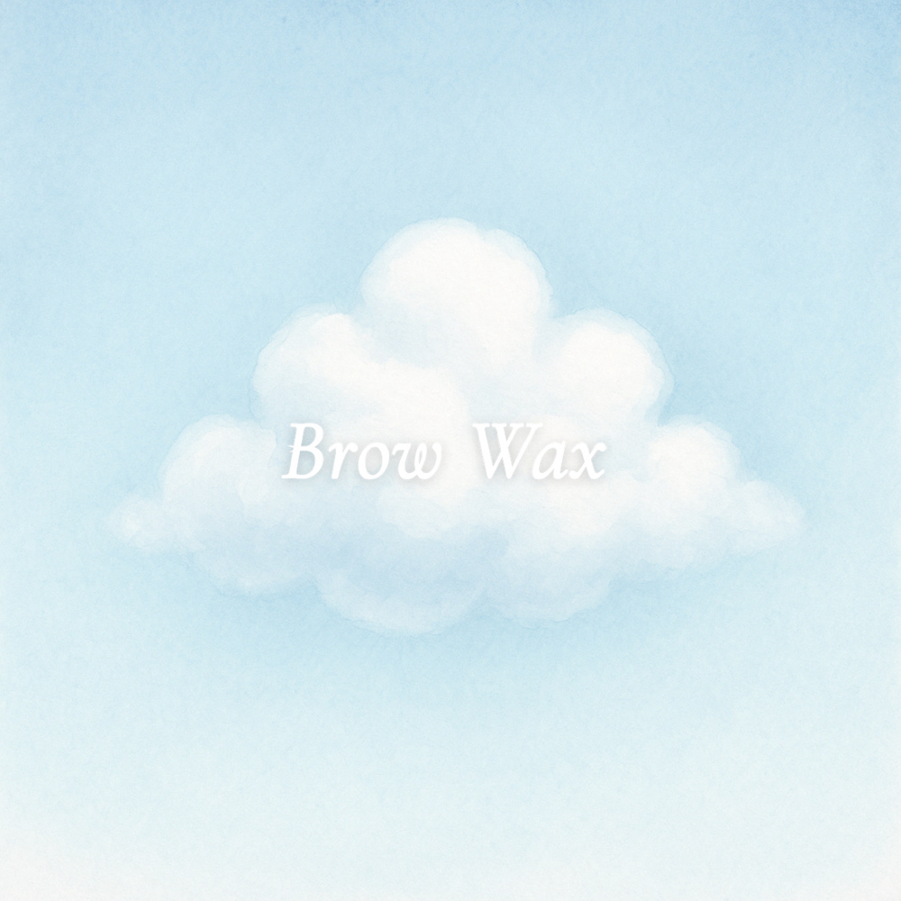 Eyebrow Wax at Cloud9Devine in Edmonds, WA