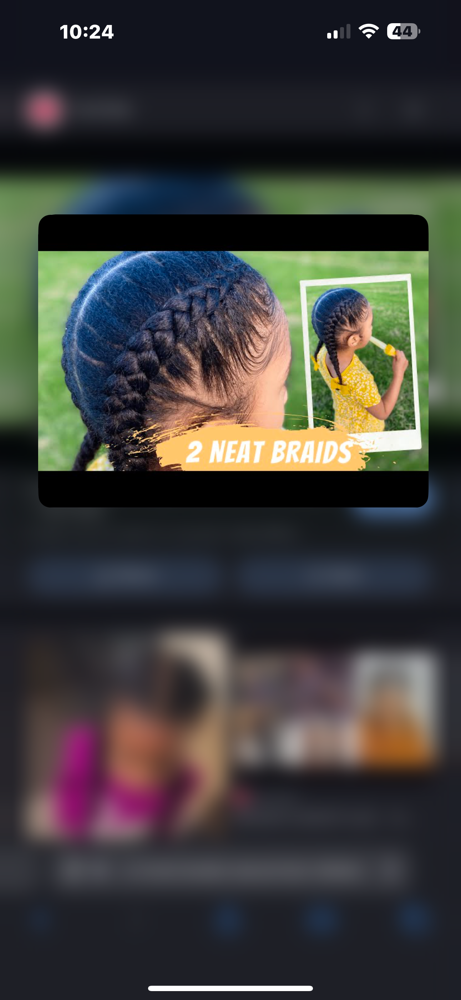 Twin Braids (No Extentions)