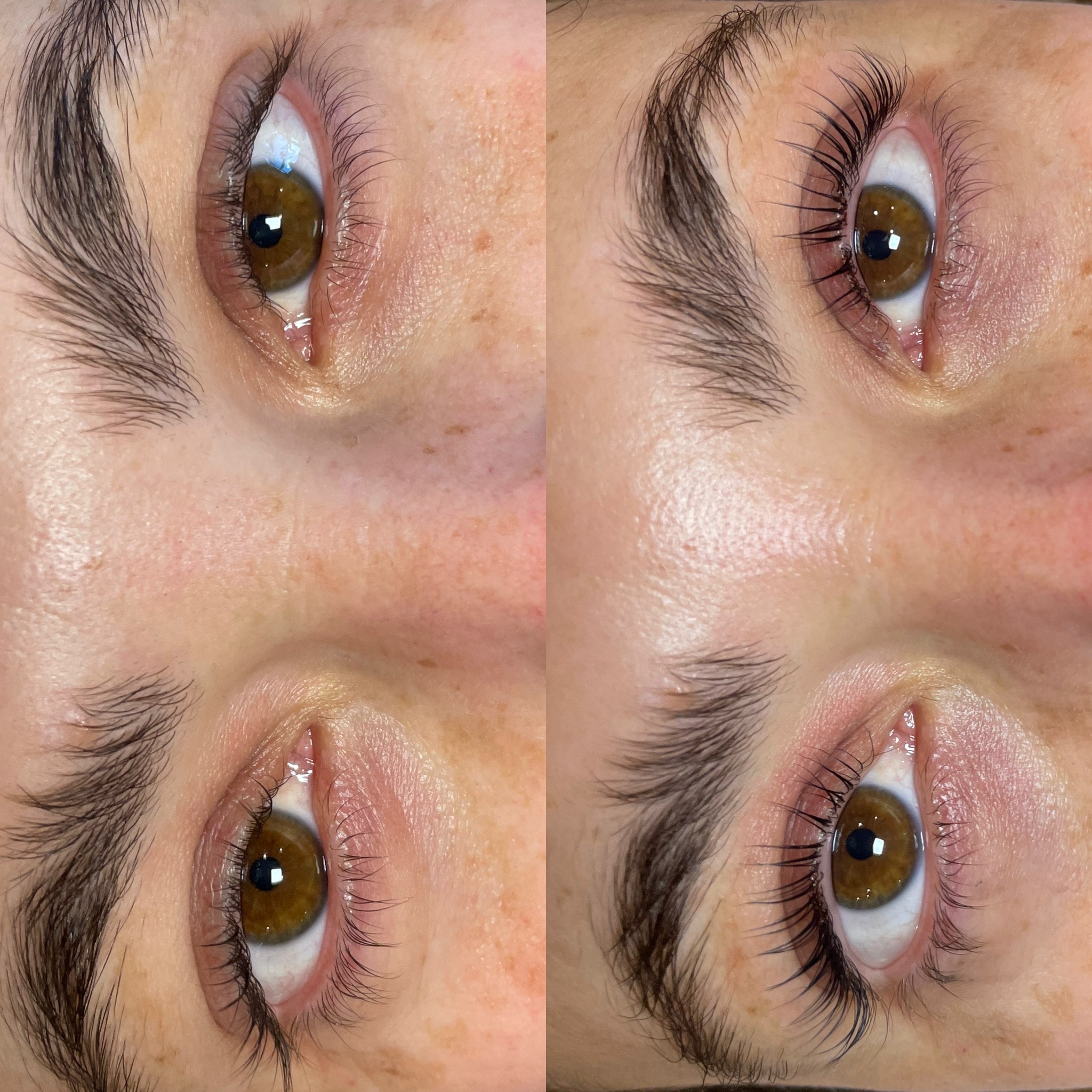 Lash Lift and Tint